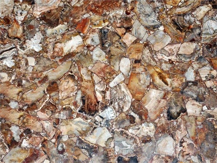 Wood Agate